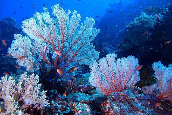 湖南永州中院:化解行政争议 实现三方共赢